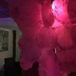Kwatera prywatna Egzotyczny Diamonds I Zanzi W Krainie Alicji
