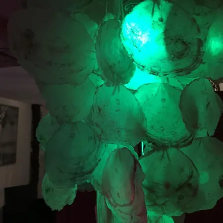 Egzotyczno - Romantyczne Miejsce Dla Dwojga *