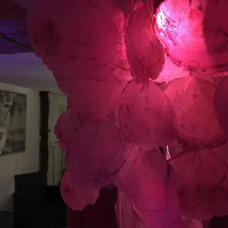 Homestay Egzotyczny Diamonds I Zanzi W Krainie Alicji