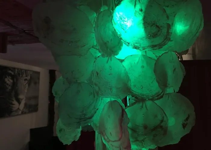 Egzotyczny Diamonds I Zanzi W Krainie Alicji *